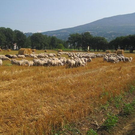 Il Tugurio Agriturismo B&B Rivotorto Exterior foto